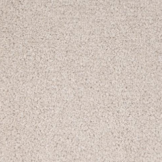 Dixie Home Spectrum Treasure