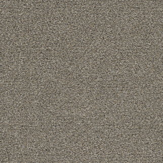Dreamweaver Carpet Gold Standard I Pewter DREAMWEAVER