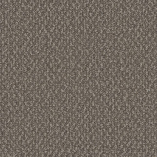 Dreamweaver Carpet Galactic Molasses DREAMWEAVER