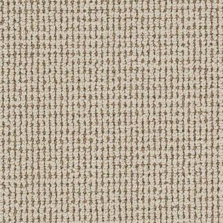 Dixie Home Nature's Glen Agave