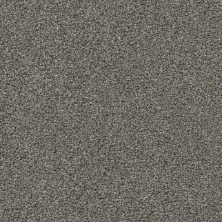 Dreamweaver Carpet Gold Standard III Graphite DREAMWEAVER
