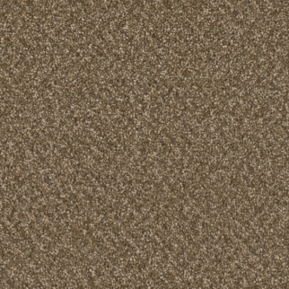 Dreamweaver Carpet Broadcast Plus Mocha Beige DREAMWEAVER