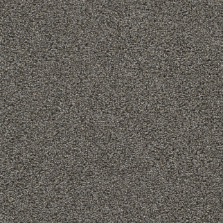 Dreamweaver Carpet Gold Standard III Zinc DREAMWEAVER