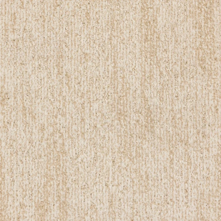 Stanton Carpet Lionel Sand Swept Stanton
