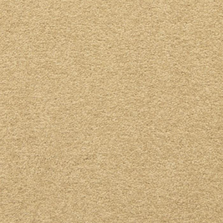 Masland Carpets Patriot Remnant Masland