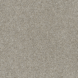 Dreamweaver Carpet Lucky Penny I Flaxen DREAMWEAVER