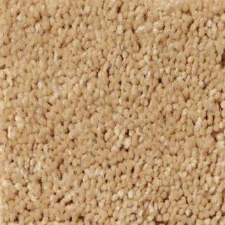 Shaw Floors Full Court 12 Sun Beam SHAW