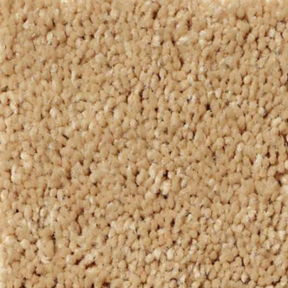 Shaw Floors All Star Weekend III 12' Sun Beam SHAW