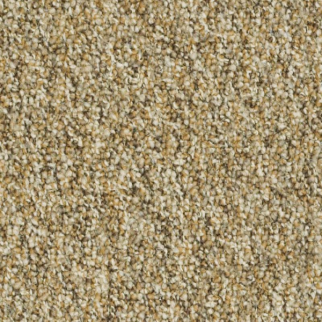 Shaw Floors Invincible 26 Woodland SHAW