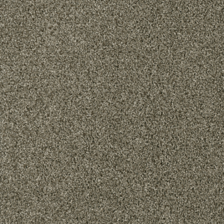 Dreamweaver Carpet Yellowstone Monaco DREAMWEAVER