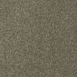 Dreamweaver Carpet Acclaim Monaco DREAMWEAVER