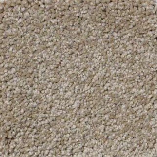 Shaw Floors Magic At Last IV 12' Cardboard SHAW