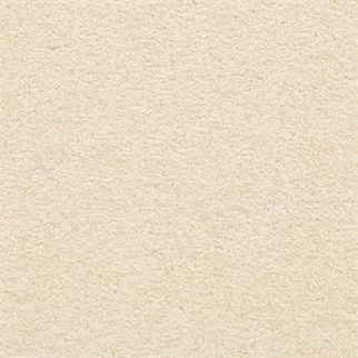 Masland Carpets Knockout Powder Masland