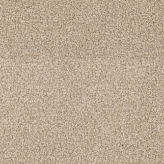 Dixie Home Spring Break Sunrise