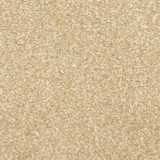 Masland Carpets This and That Autumn Wind Masland