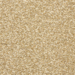 Masland Carpets Staccato Tempo Masland