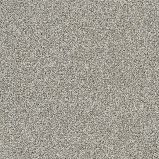 Dreamweaver Carpet Lucky Penny III Burnished DREAMWEAVER