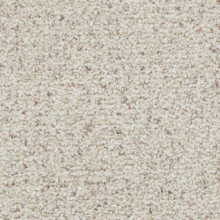 Masland Carpets St Augustine Dependable Masland