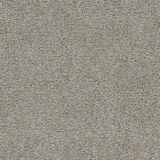 Dreamweaver Carpet Gold Standard II Sterling DREAMWEAVER