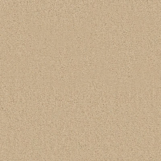 Tuftex Finery Fresh Cream SHAW