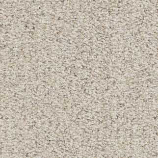 Masland Carpets St Augustine 1 Masland