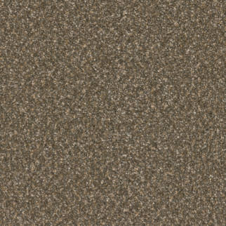 Dreamweaver Carpet Broadcast Plus Rustic Glam DREAMWEAVER