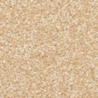 Dixie Home Delight Camelite