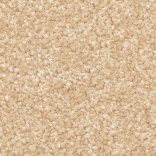 Dixie Home Heart's Content Camelite