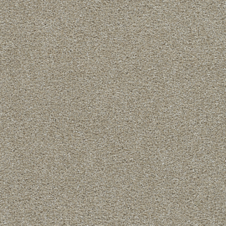 Dreamweaver Carpet Clearwater III Wonder DREAMWEAVER