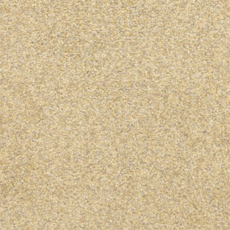 Masland Carpets This and That Evening Sun Masland