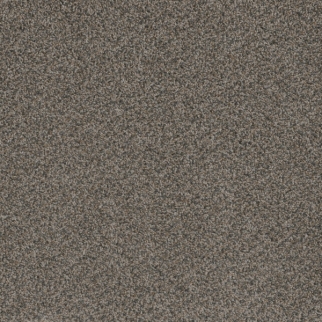 Dreamweaver Carpet Hot Pursuit Carbon Crystals DREAMWEAVER