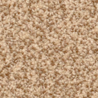 Dixie Home Cozy Mesa