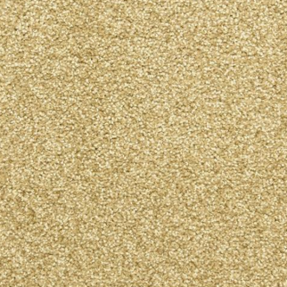 Dixie Home Star Power Cameo