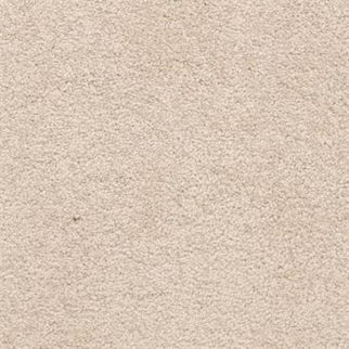 Masland Carpets Knockout Canvas Masland