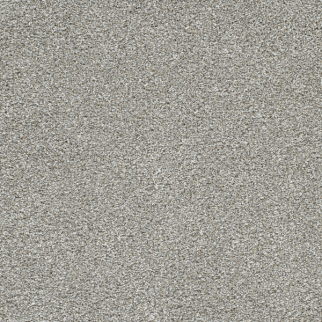 Dreamweaver Carpet Lucky Penny III Frost DREAMWEAVER