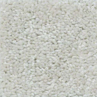 Shaw Floors XV426 Angel Wings SHAW