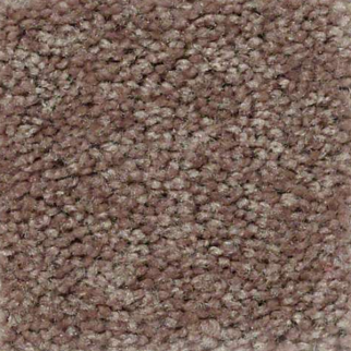 Shaw Floors XV426 Buckskin SHAW