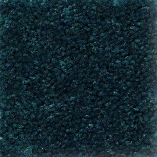 Shaw Floors XV426 Hunter SHAW