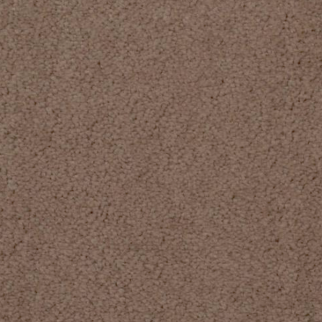 Dixie Home Touch of Velvet Cardamon