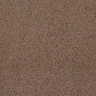 Dixie Home Touch of Velvet Castanet