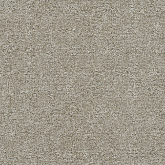 Dreamweaver Carpet Gold Standard III Alloy DREAMWEAVER
