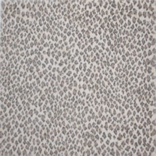 Stanton Carpet Zaza Cameo Stanton