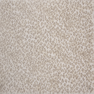 Stanton Carpet Zaza Pearl Stanton