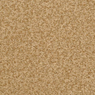 Dixie Home Chromatic Touch Cheetah