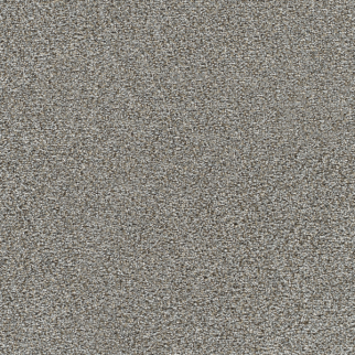 Dreamweaver Carpet Gold Standard III Metallic DREAMWEAVER