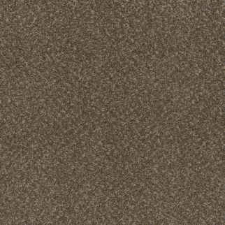 Dreamweaver Carpet Toast Of The Town Urbane DREAMWEAVER