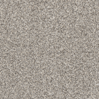 Dreamweaver Carpet Affinity II Wheat DREAMWEAVER