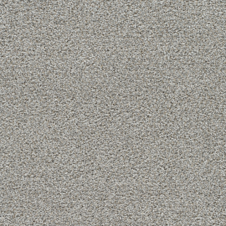Dreamweaver Carpet Gold Standard III Quartz DREAMWEAVER