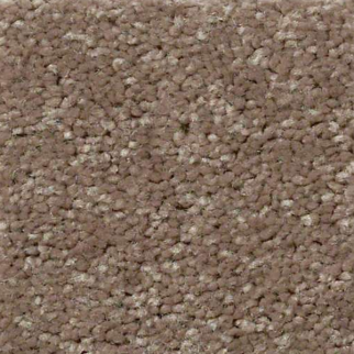 Shaw Floors XV426 Dark Taupe SHAW