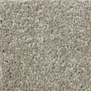 Shaw Floors XV426 Cocoa SHAW